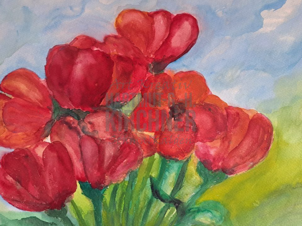Feldmohn vor bewegtem Himmel