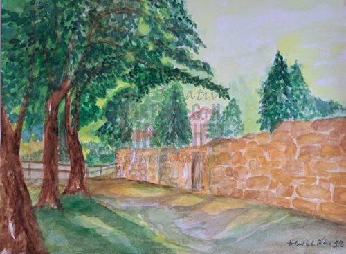 Hinter der alten Stadtmauer in Schmalkalden Blick in Richtung "Peter Villa"- Ansicht ist so nicht mehr vorhanden Aquarell H: 36,0 cm x B: 48,0 cm April 2024